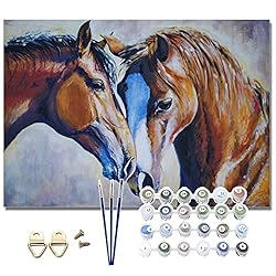 Pretty Jolly DIY Horse Paint by Numbers for Adults