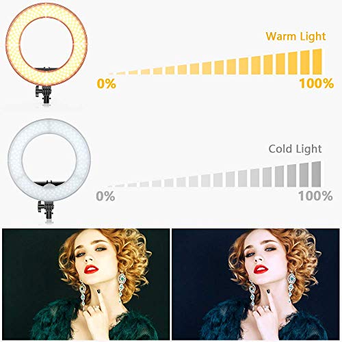 1 Dimmable+Adjustable+Lighting+Bluetooth+Carrying