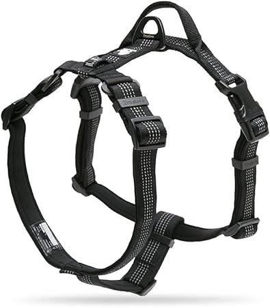 true love harness amazon