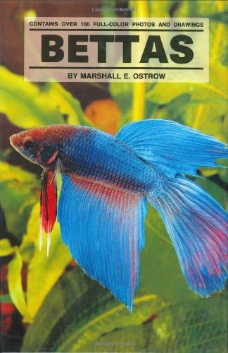 Bettas