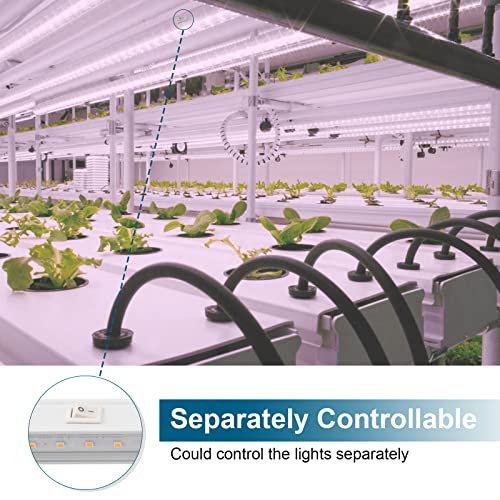 Barrina Grow Lights for Indoor Plants, Full Spectrum Sunlight, 4ft 80W