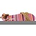 Toms Women's Correa Flat Sandal
