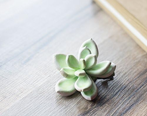 Succulent hair clip - succulent wedding gift - succulent headpiece - tropical hair clip - botanical accessory - summer hair clip