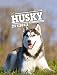 Le husky by