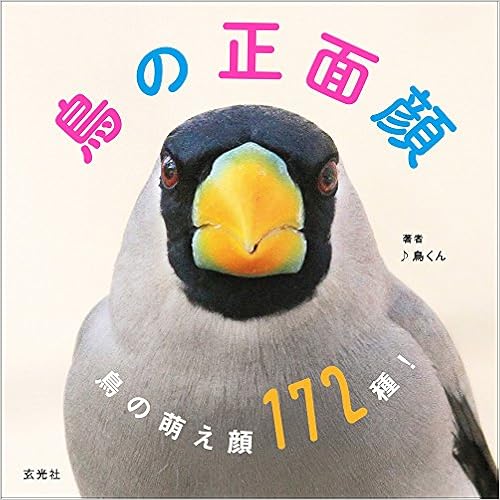 鳥の正面顔 鳥くん 永井真人 木村壱典