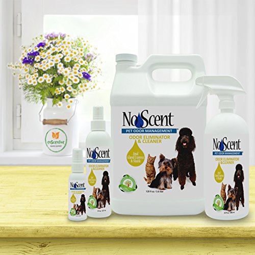 No Scent Anal Gland Express & Skunk Professional Pet Grooming and Skunk Odor Eliminator