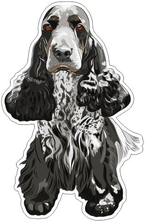 cocker spaniel as family pet