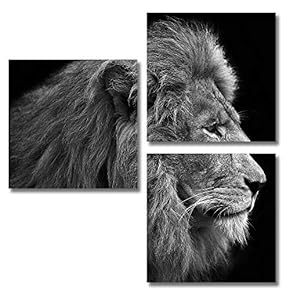 3 Piece Canvas Wall Art for Living Room Bedroom Home Artwork Animal Paintings Ready to Hang - 12"x12"x3 Panels