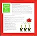 Holiday Time Indoor Growing Kit - Amaryllis 'Red Lion'