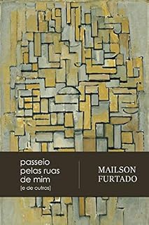 Livro passeio pelas ruas de mim [e de outros]