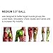 Massage Ball - 3 Set - Deep Tissue Massage Therapy, Myofascial Release, Trigger Point Massager - Muscle Pain Relief, Muscle Knots Foam Ball, Self Massage Physical Therapy Ball (Green/White)