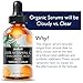 Vitamin C Serum - Top Influencer - Organic & Vegan - Packed With Hyaluronic Acid, Aloe, Jojoba Oil, Vitamin E & more - Good for Acne, Anti Wrinkle, Anti Aging, Fades Age Spots & Sun Damage