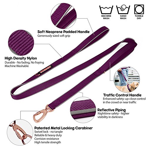 DOGNESS Classic Double Handle Dog Leash, Dual Handle for Traffic Control, Heavy Duty Soft Padded Reflective Nylon, for Walking Training Small Medium Large Dogs, Matching Collar Harness Sold Separately - Thumbnail 2