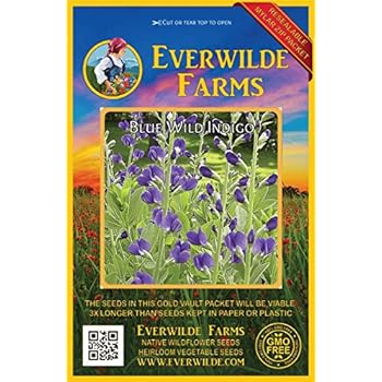 Everwilde Farms - 60 Blue Wild Indigo Native Wildflower Seeds - Gold Vault Jumbo Seed Packet
