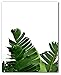 Pineapple, Banana Leaf, Sea Surf Prints, Set of 3 Tropical Decor, 8 x 10 Inches, Unframed