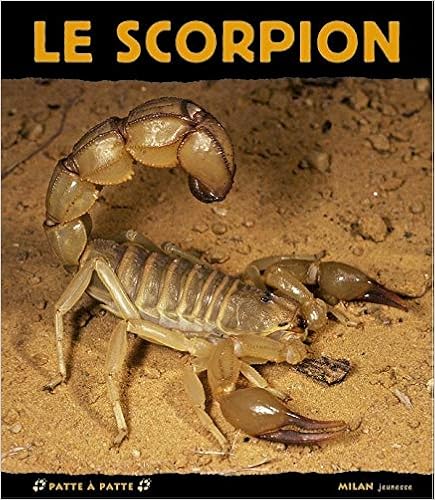 couverture de : Scorpion (Le)