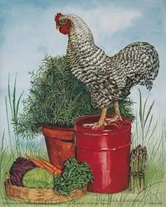 Wall Decor Barred Plymouth Rock Rooster Chicken Art Poster Metal Tin Sign 8x12 Inch Home Kitchen Bedroom Bar Sign Decoration Posters Tin Sign Halloween Thanksgiving Gift
