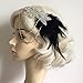 Pixnor 1920s Flapper Great Gatsby Headpiece Headband with Feather Vintage Black