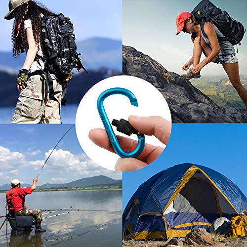 Wocst Aluminum Carabiner D-Ring Key Chain Clip Spring Clip Lock Carabiner Hook Outdoor Camping Equipment- Not for Climbing(10 Pcs)