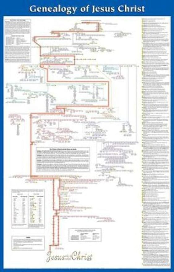 Amazon Com Genealogy Of Jesus Laminated Wall Chart Posters Prints