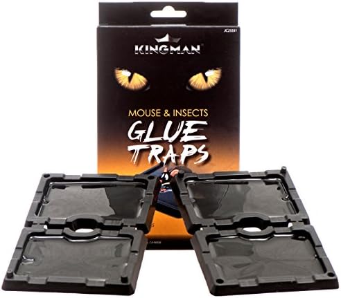Kingman Small Mouse Glue Trap Safe and Easy to Use Non-Toxic Indoors and Outdoors Fits into Small Spaces (12 Packs/48 Boards)
