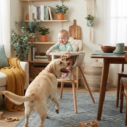 Mallify 3-in-1 Wooden High Chair, Convertible High Chairs for Babies and Toddlers, Baby Highchair with Adjustable Legs & Dishwasher-Safe Tray, Sleek Hardwood & Premium PU Cushion, Beige