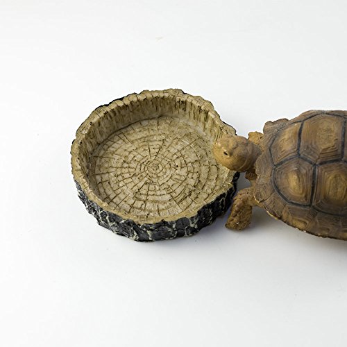 6 OMEM+Reptile+Natural+Water+Resin