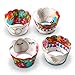 Llama Party Supplies Cupcake Toppers and Wrappers - Set of 24 - Fiesta party supplies (Llama)