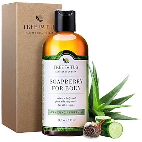 trending products on amazon related to Beauty & Personal Care buy products from amazon that are Body Washes, under $20, under $25