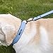 Soft Touch Dog Collar with Leash, Luxury Leather Pet Basic Collars for Small Medium Large Dogs (Blue, L)thumb 3