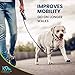 K9 Nature Supplements: Nature’s Aches Away - 55 Soft Chews for Dogs - Advanced Formula for Pet Mobility & Joint Pain Support - Natural, Herbal Treats - with Willow Bark Extract, Cat’s Claw & Fish Oil