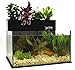 Fin to Flower Aquaponic Aquarium - Midsize System B (Black)