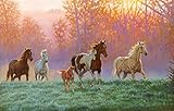 Morning Sun 1000 pc Jigsaw Puzzle