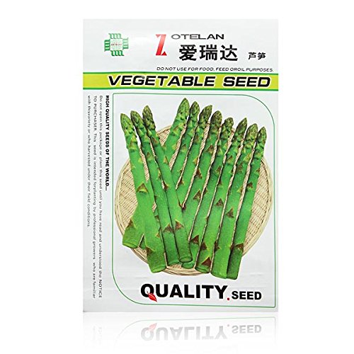 Asparagus seed - 20PCS Garden Vegetable Asparagus Officinalis Seeds by DOM - Asparagus seed