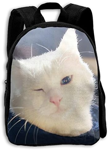 Fashion School Backpack Wink Cat Outdoor Casual Shoulders Multipurpose Backpack Travel Bags For Children,Kids