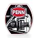 Penn Pursuit II Spinning Fishing Reel