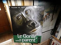 Le  gorille, un lointain parent