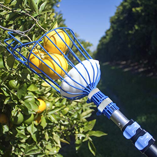 3 Eversprout+Preassembled+Lightweight+High+Grade+Extension