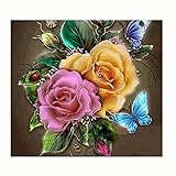 Fabal Crafts Diamond Embroidery Diy Full Diamond Painting Kit for Square Drill Rhinestone Pasted Room Decoration (H)