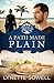 A Path Made Plain (Seasons in Pinecraft Book 2) by Lynette Sowell