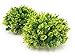 BEGONDIS 2Pcs Aquarium Decorations Fish Tank Artificial Green Water Plants Made of Soft Plastic,Safe for All Fish & Petsthumb 1