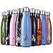 Insulated Water Bottle, 17 Oz Stainless Steel Double Wall Vacuum Sports Drink Bottles, Leak- proof and No Sweating Cola Shape Travel Bottles, Keeps Drinks Cold & Hot for 24 Hours (Black)