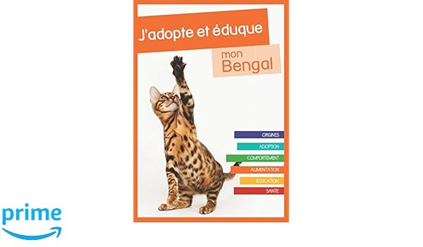 Jadopte Et éduque Mon Bengal Origines Adoption