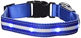 GoDoggie-GLOW USB Rechargeable LED Dog Safety Collar, Medium ( 13.4 - 19.7
