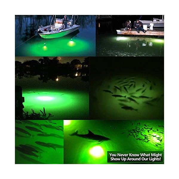 Goture-12V-IP68-High-power-LED-Fully-Submersible-Night-Fishing-Light-Deep-Drop-Underwater-Lure-Bait-Fish-Finder-Lamp-with-547-Cable-for-Krill-Phytoplankton-Squid-White-Blue-Green