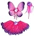Girls Hot Pink and Purple Fairy Costume with Wings, Rosebud Wand and Tutu