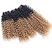 Synthetic Weave Kinky Curly Hair 3 Bundles Ombre Two Tone Black To Golden 16