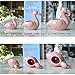 Youfui Ceramic Animal Flowerpot Succulent Plants Container Desk Mini Ornaments (Flamingos Family)