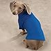 Zack & Zoey Cotton Polo Shirt for Dogs, 16