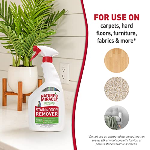 Nature's Miracle Stain and Odor Remover, Spot Stain and Pet Odor